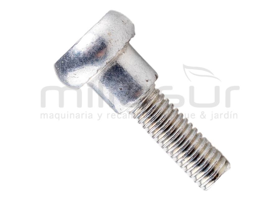 TORNILLO FIJACION ASA M437HXP