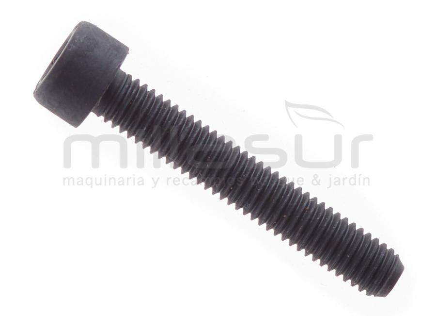 TORNILLO HEXAGONAL M5X30 CG2660