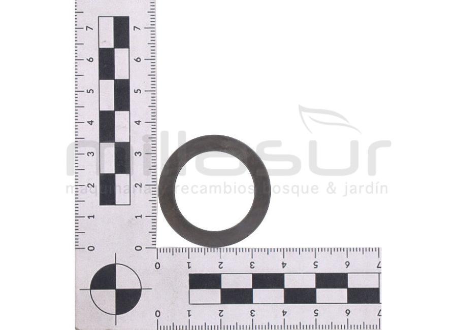 ARANDELA PRESION 36X25X1 MA173 - CC251 - CC256 - CC351T3