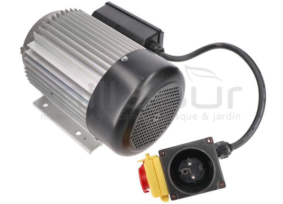 MOTOR COMPLETO RLT8B