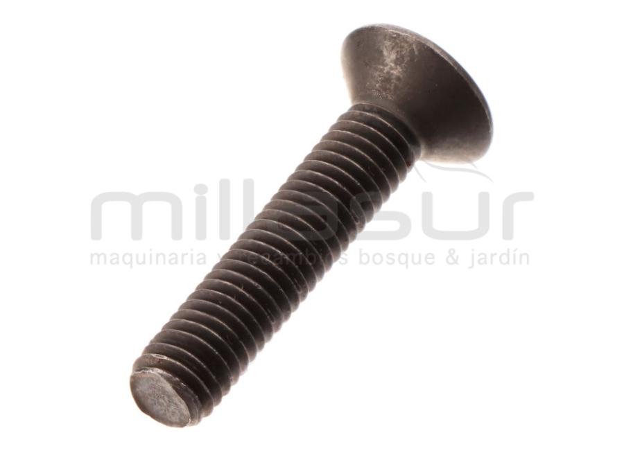 TORNILLO SUJECION SOPORTE REDUCTORA TPB4506 (26)