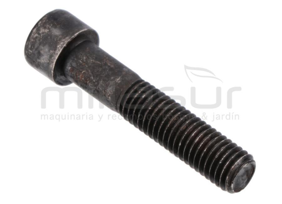 TORNILO SUJECION PUENTE DELANTERO M10x50 TC102 ( 05 20)