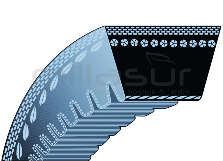 CORREA PARTNER 9,5 x 876