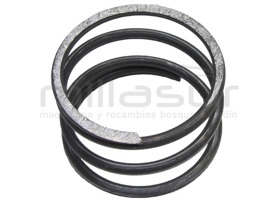 MUELLE CABEZAL 55-119 (NEW)