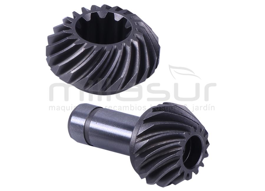 JUEGO PIÑONES CODO STIHL FR130, FR220, FR350, FR450, FR480, FR85-FS100, FS120, FS130, FS240, FS36 